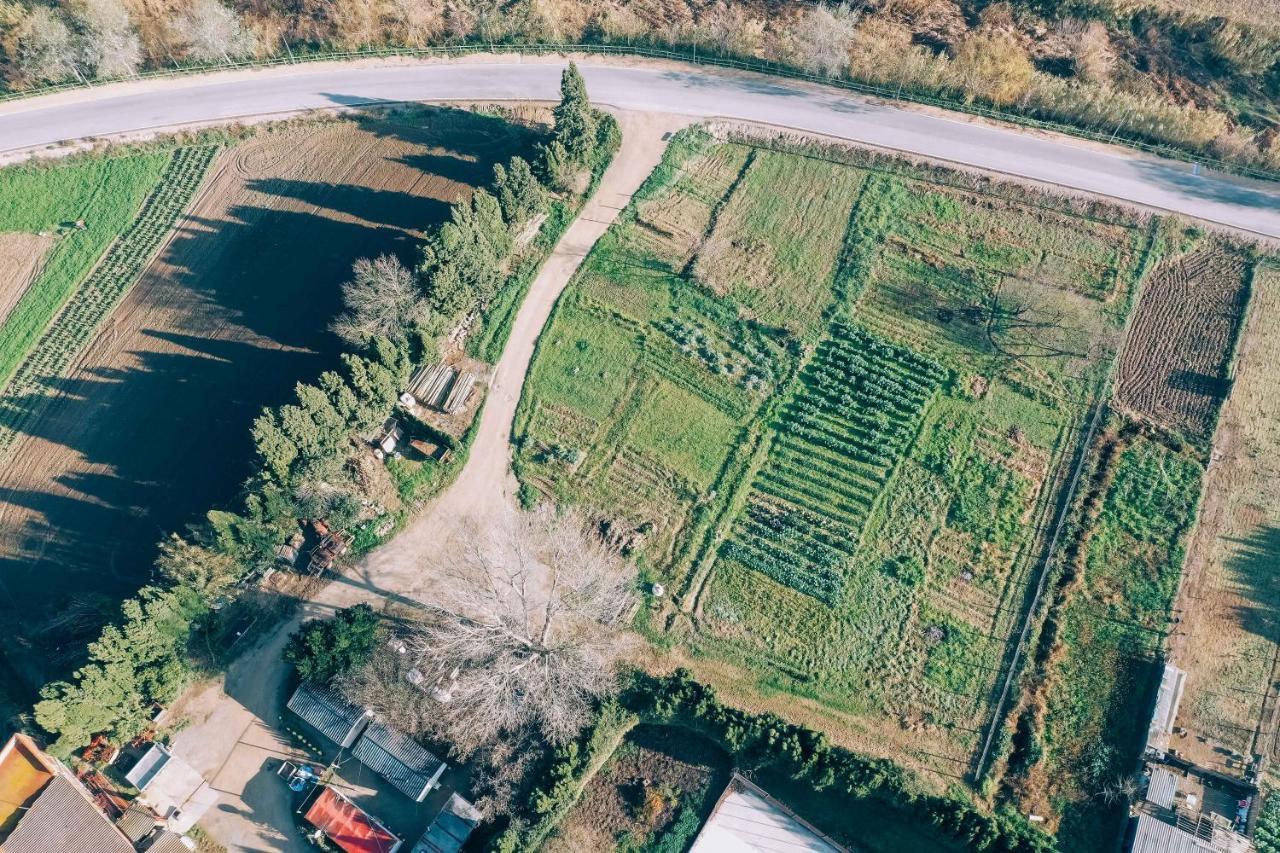 Casa Con Piscina Privada En Gualta, Can Blay Exteriör bild